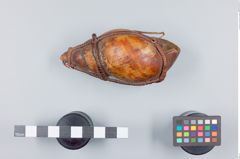 Foto (Seitenansicht) von Achatschnecke in Bastgeflecht (NHMW-ZOO-MO-0081100-ETH-138)